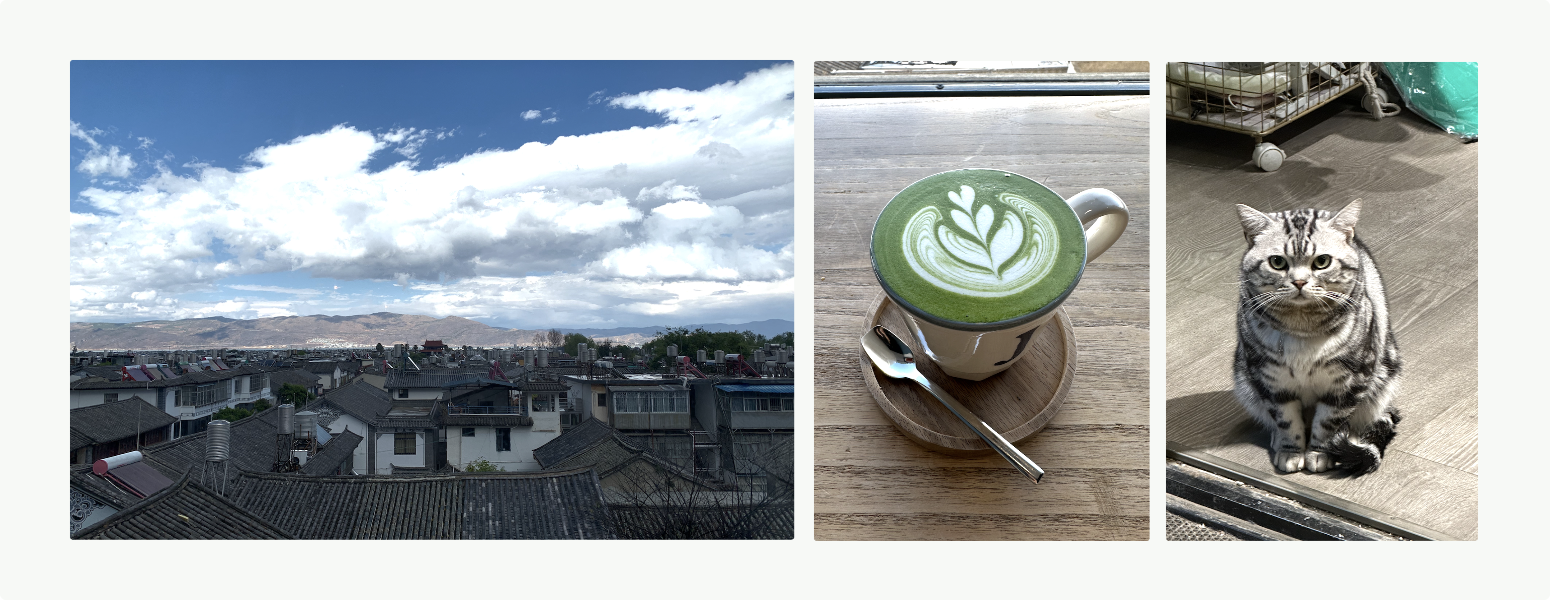 image-20240520152756606