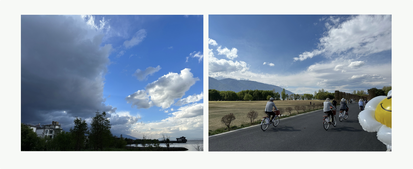 image-20240520153100997