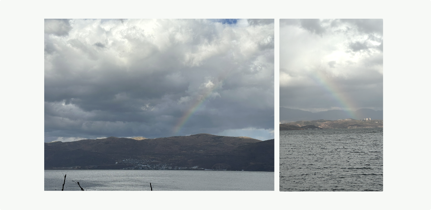 image-20240520153458407