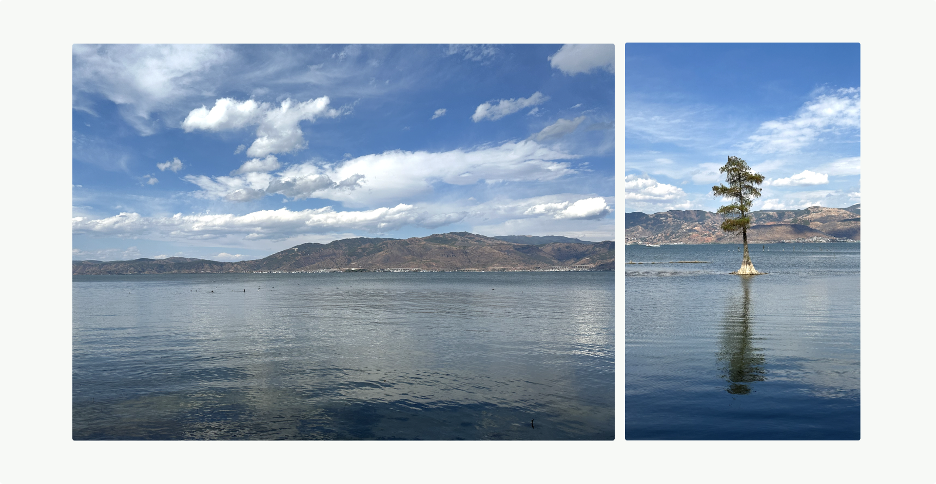 image-20240520153731787